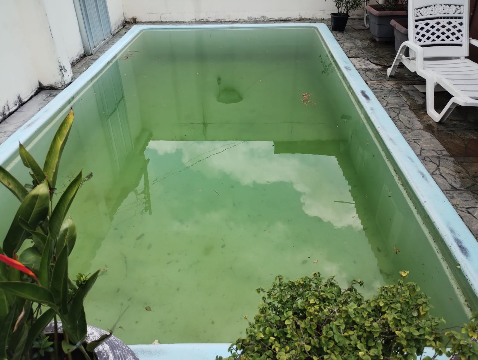 Piscina Antes 1 - Água verde